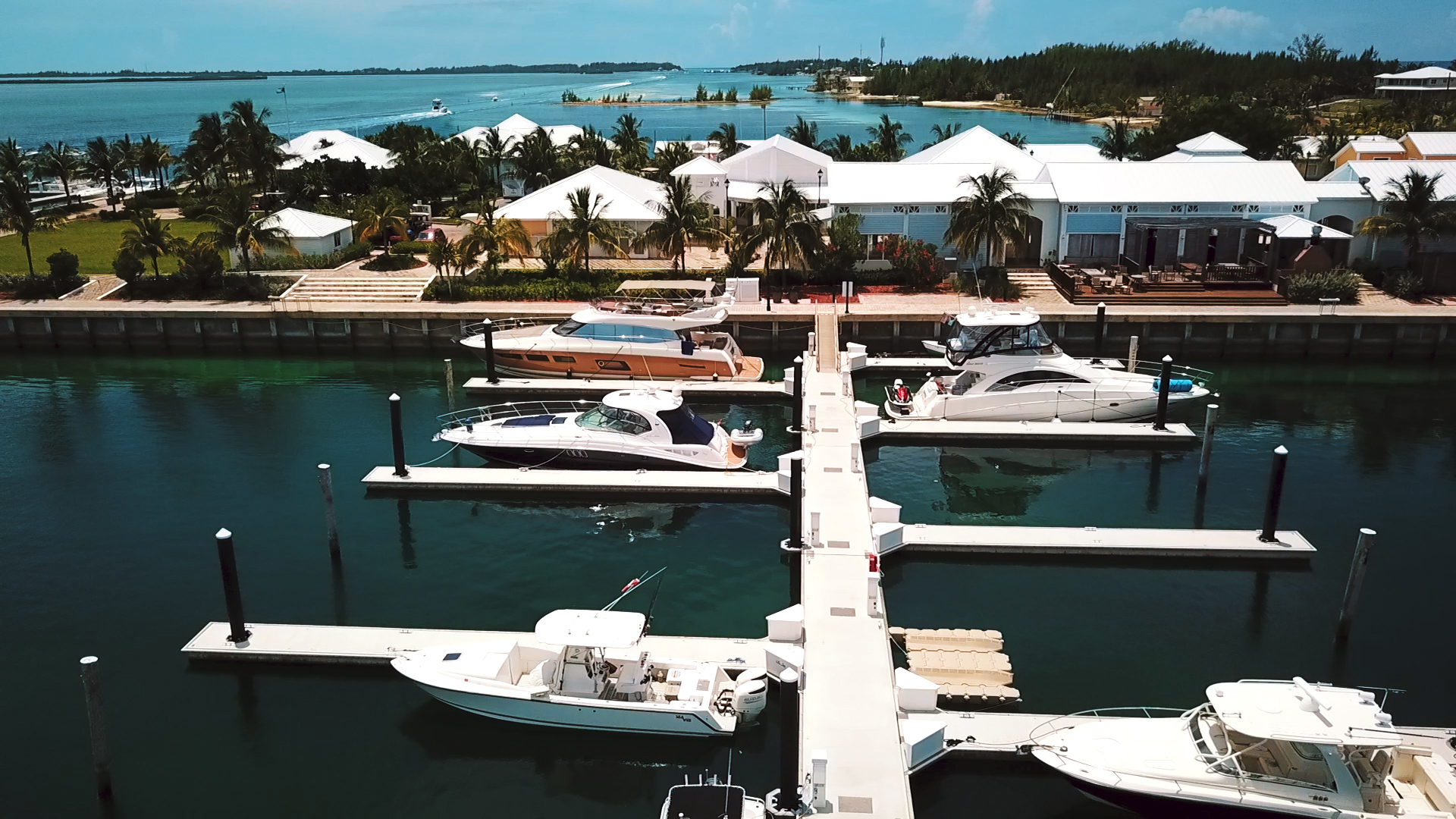 World-class fishing in Bimini Bahamas